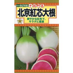 紅芯大根 種の商品一覧 通販 Yahoo ショッピング