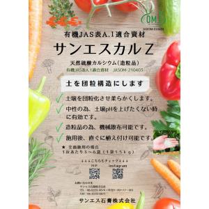 サンエスカルZ 15kgの詳細画像3