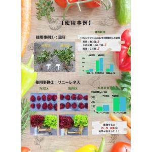 サンエスカルZ 15kgの詳細画像4