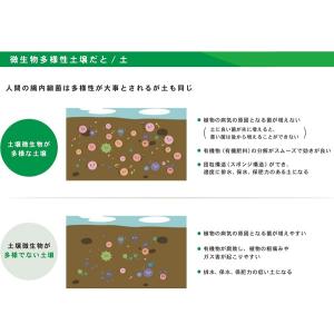 寅ちゃんの超微生物 15kgの詳細画像1