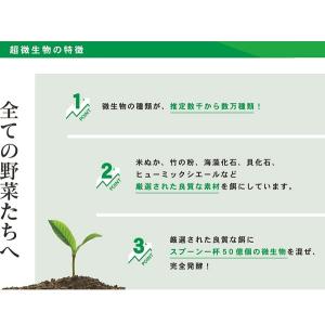 寅ちゃんの超微生物 15kgの詳細画像5