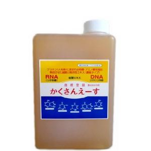 受注生産 薩摩焼 十五代沈壽官作(ちんじゅかん)白薩摩九寸花瓶 本金秋