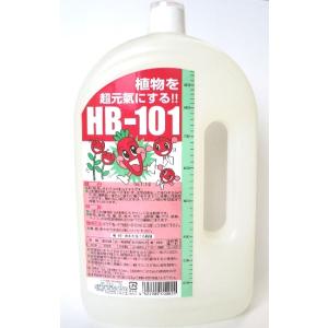 フローラ 天然活力剤 HB-101 500cc (100%天然植物エキスの活力液