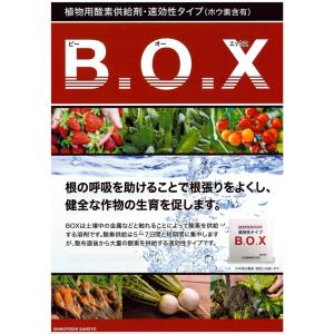 植物用酸素供給液剤 BOX 10Lの詳細画像1