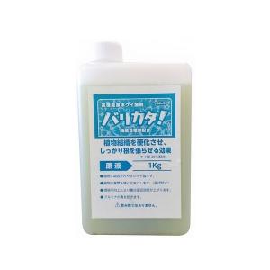 ペンタキープ ハイパー Hyper 5000 800ml (1.05kg) コスモ誠和 : PEG