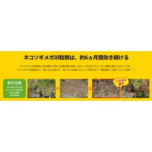 ネコソギメガIII 7kgの詳細画像2