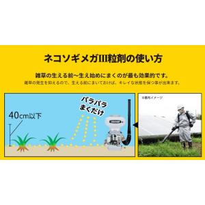 ネコソギメガIII 7kgの詳細画像4