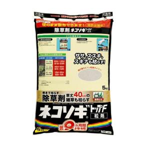 ネコソギトップF粒剤　5kg