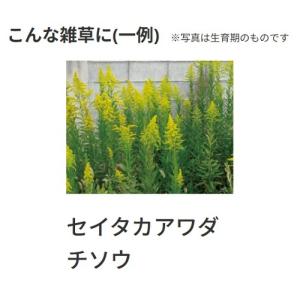 ネコソギトップF粒剤 10kgの詳細画像2