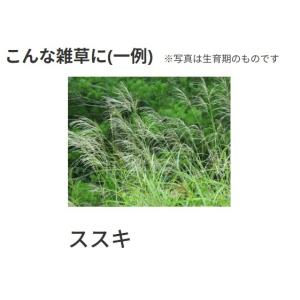 ネコソギトップF粒剤 10kgの詳細画像4