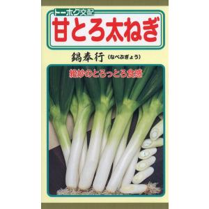 ネギの種　F1　甘とろ太ねぎ　鍋奉行　2ml　品番2246　種子　たね｜nns