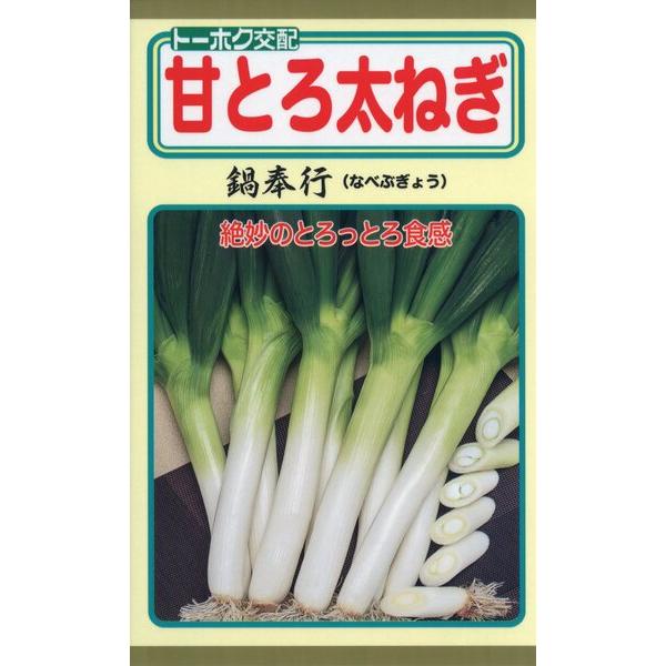 ネギの種　F1　甘とろ太ねぎ　鍋奉行　2ml　品番2246　種子　たね