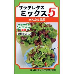 ミックスの種　サラダレタスミックス５　5ml　品番3477　種子　たね