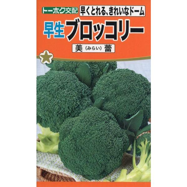ブロッコリーの種　F1　ブロッコリー　美蕾(ミライ)　1ml　品番3544　種子　たね
