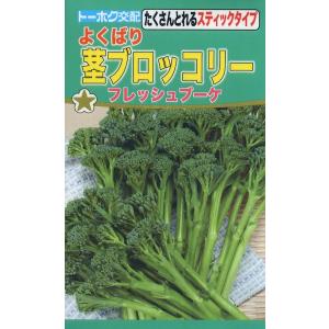茎ブロッコリーの種　F1　よくばり茎ブロッコリー　フレッシュブーケ　1ml　品番3546　種子　たね