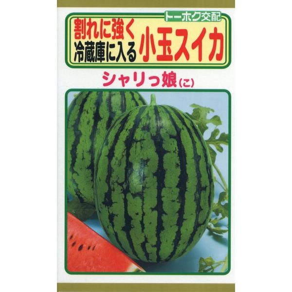 スイカの種　F1　シャリっ娘　0.8ml　品番4660　種子　たね