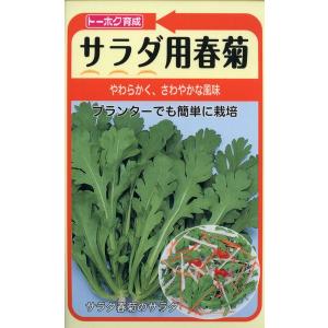 シュンギクの種　サラダ用春菊　35ml　品番4941　種子　たね