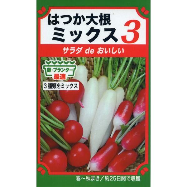 はつか大根の種　はつか大根ミックス3　12ml　品番6240　種子　たね