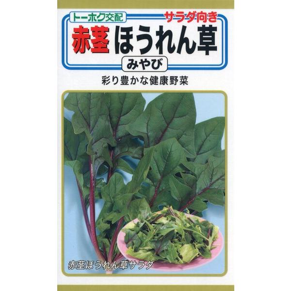 ホウレンソウの種　F1　赤茎ほうれん草　みやび　16ml　品番7270　種子　たね