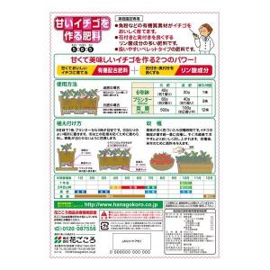花ごころ 甘いイチゴを作る肥料 500gの詳細画像1