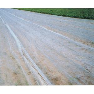 不織布　保温資材　べたがけ一発  長さ200m×幅120cm  2本セット