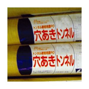 直送品　トンネル栽培用ＰＯ 穴あきトンネル 厚さ0.05mm×長さ100m×孔4列×幅210cm 2本セット｜nns