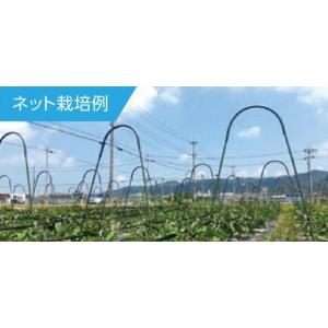 アーチパイプジョイント ネット栽培用 径20mm×幅80cmx高さ30cm : 日本 