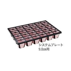 タキイ 根巻防止セルトレイ ストロング M型 200穴 黒 100枚入 : 日本