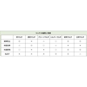 農業用マルチシート オリジナル透明マルチ(穴無...の詳細画像1