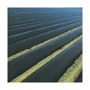 農業用マルチシート　黒マルチ 厚さ0.03mmX幅120cmX長さ100m　５本セット｜日本農業システム