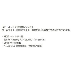 サンバイオ 黒(穴あき)規格9230 穴径45...の詳細画像2