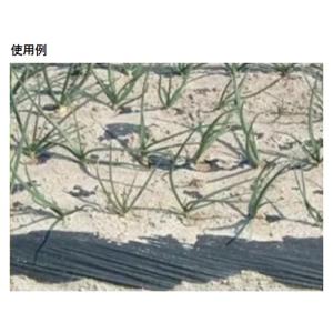 サンバイオ 黒(穴あき)規格9230 穴径45...の詳細画像4