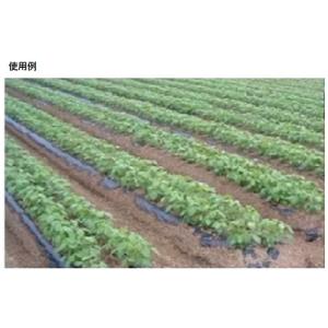 サンバイオ 黒(穴あき)規格9230 穴径45...の詳細画像5