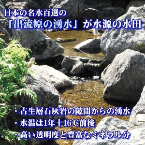 新米 ミルキークイーン 30kg 令和8年産 ...の詳細画像1