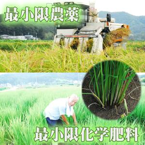 新米 ミルキークイーン 30kg 令和8年産 ...の詳細画像2