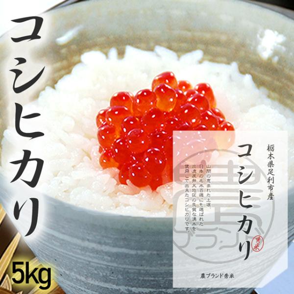 栃木県産 コシヒカリ 5kg ５キロ 2025年産 あすつく 送料無料 こしひかり ギフト プレゼン...
