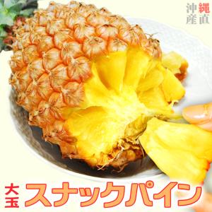 スナック パイン 父の日 ギフト パイナップル 大玉