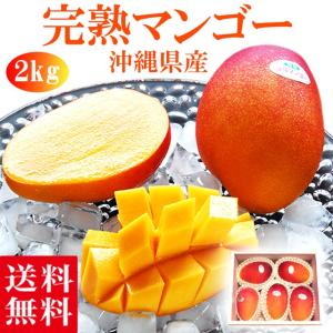 沖縄県産 完熟マンゴー 約2kg(4〜6玉) ギフト 送料無料 お取り寄せ グルメ 御中元 プレゼント ふるさと 高級 夏 果物 くだもの フルーツ 贈答 贈物 お供え