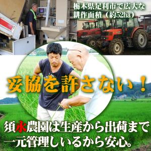 新米 令和8年産 10kg ミルキークイーン ...の詳細画像3