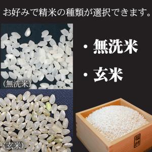 新米 令和8年産 10kg ミルキークイーン ...の詳細画像5