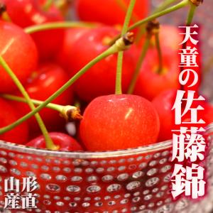さくらんぼ 佐藤錦 送料無料 約700g Lサイズ 山形 産...