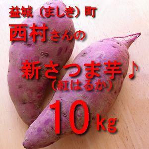 新さつま芋　サイズ不選別（S-Lサイズ）　10kg　熊本県産　送料別/西村さんの紅はるか　この時期はホクホクした感じですネ