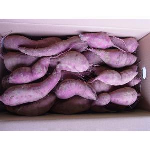 訳あり 新さつま芋 熊本県産 10kg サイズ...の詳細画像1