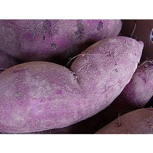 訳あり 新さつま芋 熊本県産 10kg サイズ...の詳細画像4