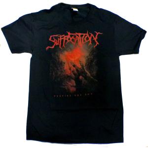 BRING ME THE HORIZON】ブリングミーザホライゾン「SEMPITERNAL」T