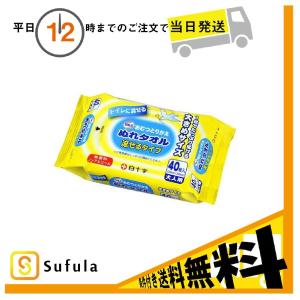 10個セット サルバ おむつとりかえぬれタオル 流せるタイプ 40枚入 白十字