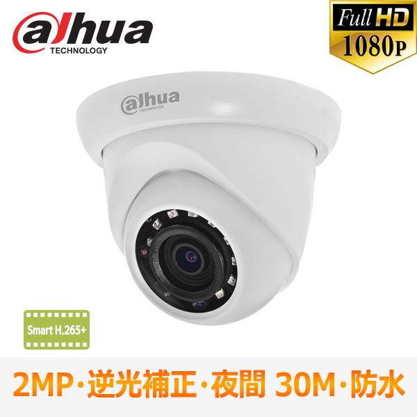 [DAHUA] [IP-2M] 防犯カメラ 200万画素 IP CAMERA 2メガピクセル ドーム...