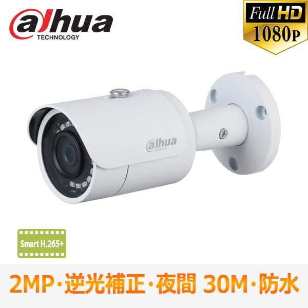 [DAHUA] [IP-2M] 防犯カメラ 200万画素 IP CAMERA 2メガピクセル  Sm...