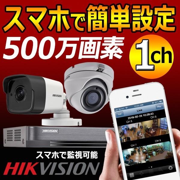 [HIKVISION][TVi-5M] 防犯カメラ 屋外 屋内 500万画素 高画質 CCTV 自己...