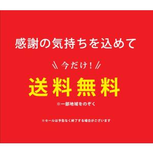 マタニティ ショーツ 綿100 ローライズ 人...の詳細画像1